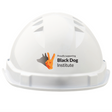 BLACK DOG INSTITUTE V6 HARD HAT