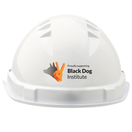 BLACK DOG INSTITUTE V6 HARD HAT